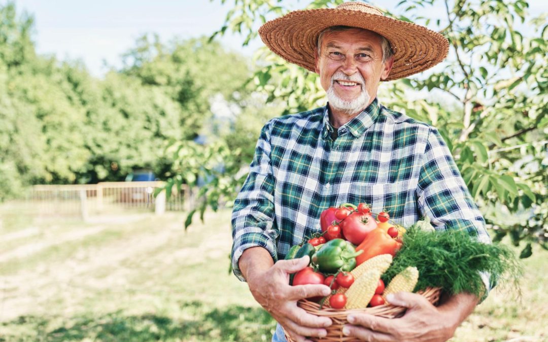 Produtor rural idoso posa com verduras colhidas em sua área rural. Imagem ilustrativa para post sobre ideias para áreas rurais, do blog da Soma Urbanismo.