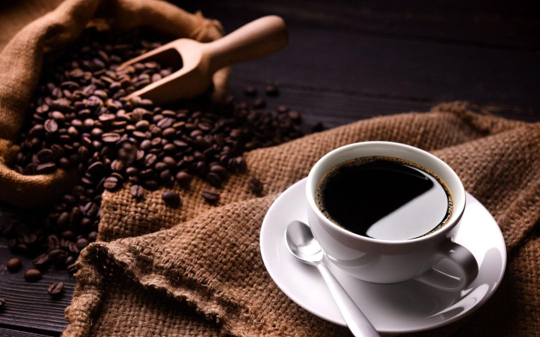Safra de café: por que investir em lotes no período da colheita?